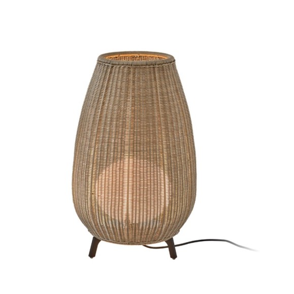 AMPHORA 01