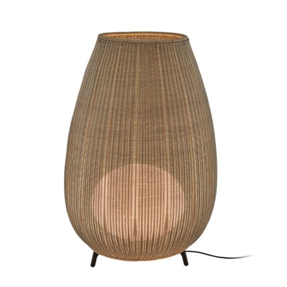AMPHORA 02