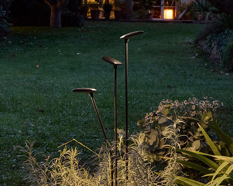 Birdie - Set 3 - Outdoor